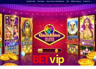 betvip Rio de Janeiro - Bonus Terms